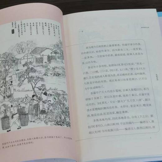 《事物掌故丛谈》（校订本）小精装一函10册，杨荫深编著，上海辞书出版社2020年一版一印 商品图8