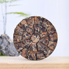 正皓茶业丨云南白茶 乔木大树 手撕饼 一级 2023年100g 商品缩略图1