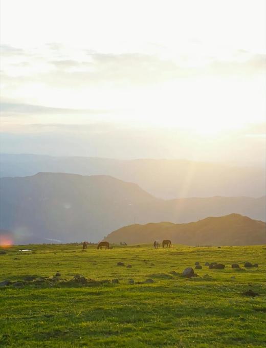 【避暑】贵州六盘水·凉都避暑之旅8日-轻松休闲  感受19°的夏天【业主专团】纯玩0购物 小区接送 【旅游】 商品图11