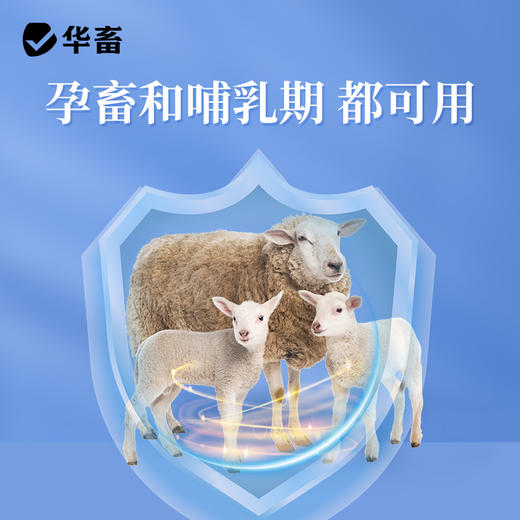 【积分兑换】华畜兽药羟氯扎胺混悬液100ml牛羊肝片吸虫孕畜哺乳期可用 商品图3