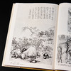 【绝版好书】《野逸画派》(石涛 八大 石豀 弘仁 龚贤 梅清)，大16开精装168页，1985年台湾艺术图书出版 商品缩略图4