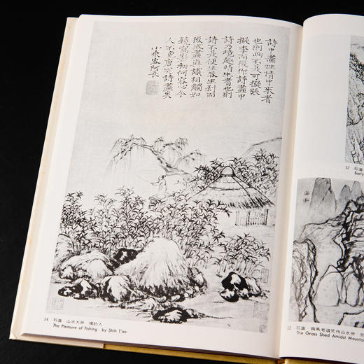 【绝版好书】《野逸画派》(石涛 八大 石豀 弘仁 龚贤 梅清)，大16开精装168页，1985年台湾艺术图书出版 商品图4