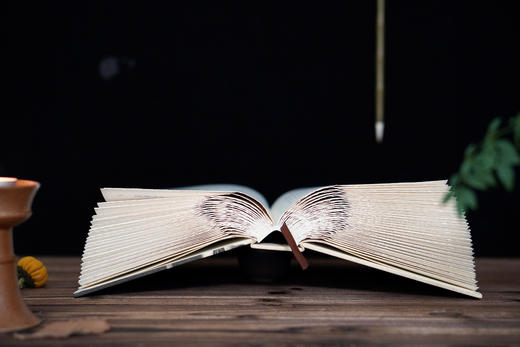 【限量定制毛边珍藏本】大学问《凡人琐事：我的回忆》章开沅 著（布面印刷+方脊精装+毛边 + 珍藏编号页（1-200）+作者签章） 商品图11