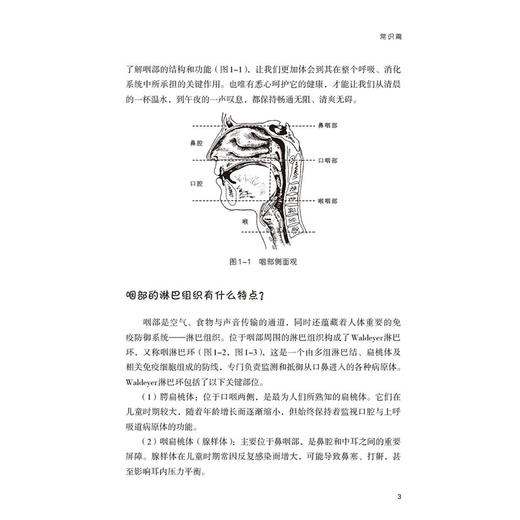 慢性咽炎 第2版 孙臻峰 严敏珠 名医与您谈疾病丛书慢性咽炎常识病因症状诊断鉴别诊断治疗预防保健介绍慢性等 中国医药科技出版社 商品图4