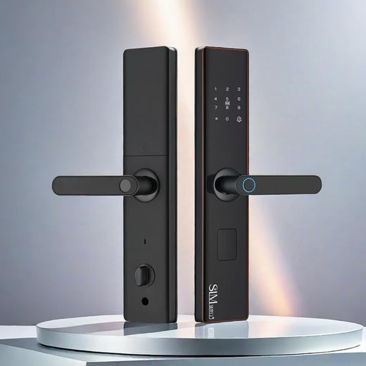 半自动L6智能指纹锁（不含锁体） 商品图0