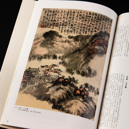 【绝版好书】《野逸画派》(石涛 八大 石豀 弘仁 龚贤 梅清)，大16开精装168页，1985年台湾艺术图书出版 商品图10