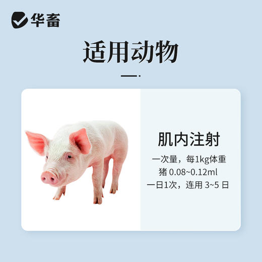 华畜0.5g硫酸头孢喹肟注射液20ml*2支 产后消炎 仔猪黄白痢华畜 商品图2