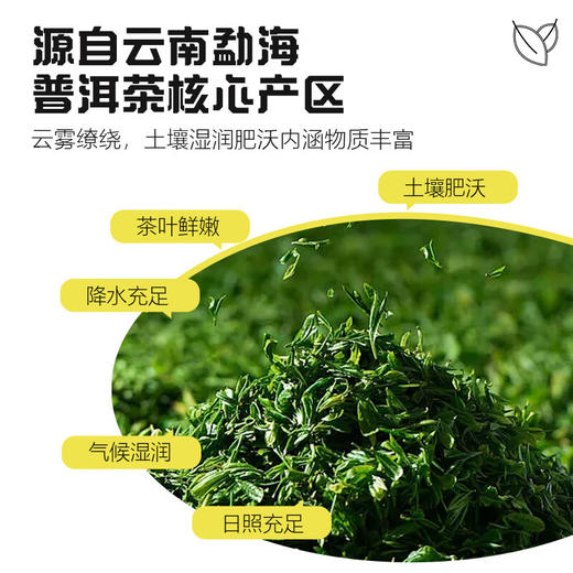正皓茶业丨云南十八怪 勐海生普小沱茶 普洱生茶 2017年 126g（7g*18） 商品图5