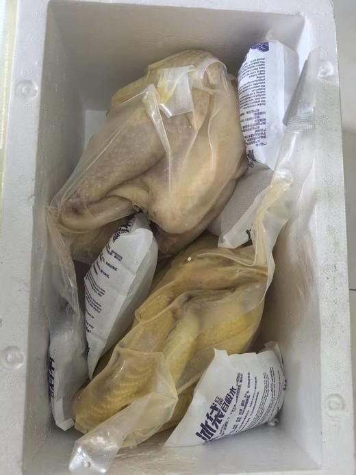 至源白切/盐焗鸡900克*2（熟食） 商品图7