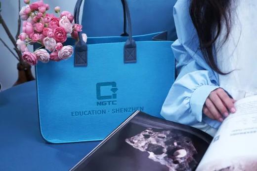 NGTC文创 毛毡袋 商品图1