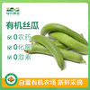 有机丝瓜 500g 商品缩略图0