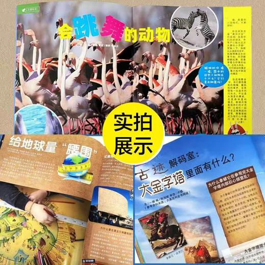 【6-13岁】【一年刊12本】大英百科少儿探索——一月一刊发货（25年7-26年6）【赠】跑跑姜饼人3册 商品图3