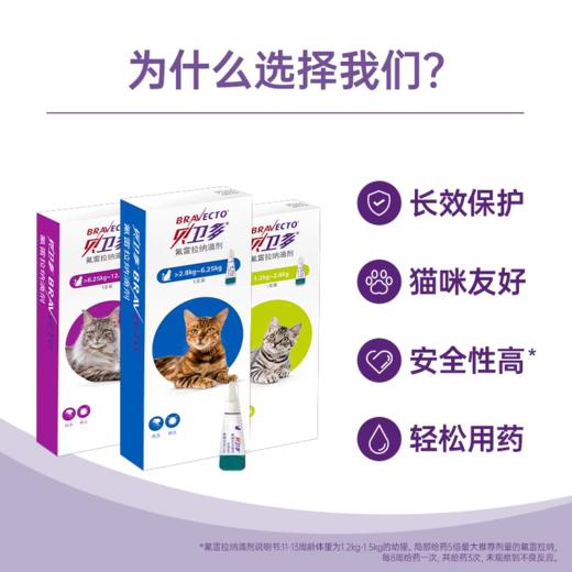 进口贝卫多猫用驱虫药体外驱虫氟雷拉纳滴剂寄生蜱虫跳蚤宠物猫咪专用 商品图1