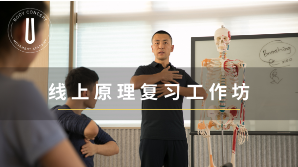 线上原理复习工作坊