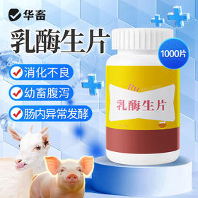 华畜兽用乳酶生片猪羊家畜幼畜腹泻胀气助消化促反刍益生菌乳酸菌