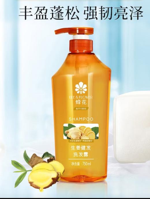 蜂花生姜健发洗发露 商品图4