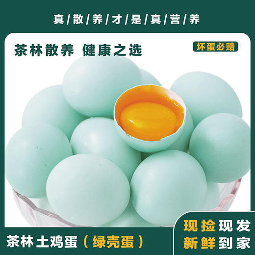 奶奶家的鸡窝 土鸡蛋 50枚/盒白壳 红壳 绿壳 随机发 商品图0
