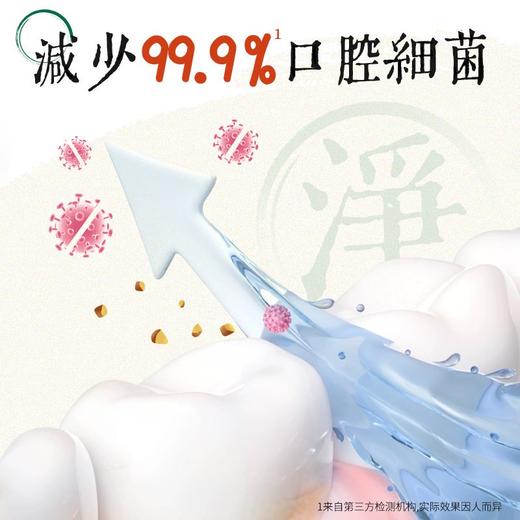 【店铺上新】NONIO氨基酸汉方漱口水 450ml 商品图2