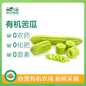 有机苦瓜500g