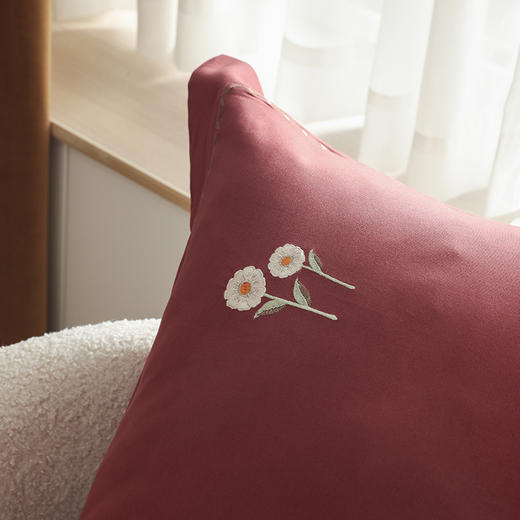 自然醒精梳火山全棉小魔毛工艺单品枕套一对装加厚纯棉毛巾绣枕头套单只HS 商品图8