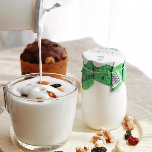 悠了优乐·新疆原味酸奶 180g*11  源自新疆天山牧场  全脂风味发酵乳 商品图3