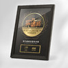 高档科技芯片奖牌订制金属授权牌定制定做电商唱歌比赛荣誉纪念 商品缩略图0