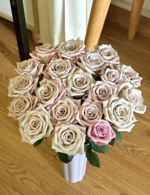 国产单头玫瑰花曼塔10支 商品图8