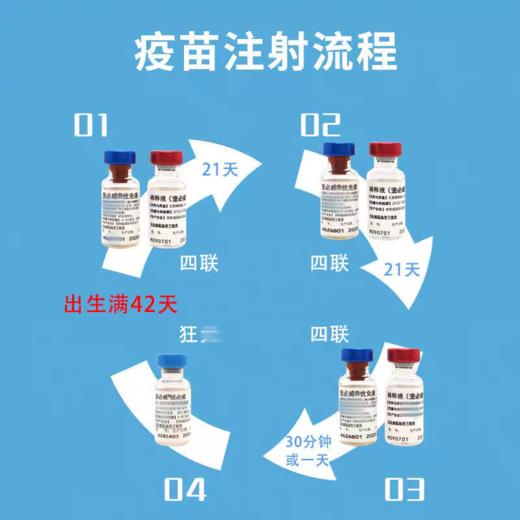 英特威犬四联疫苗一针 商品图0