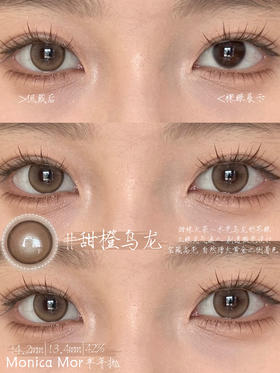Monica Mor半年抛美瞳 甜橙乌龙 14.2mm