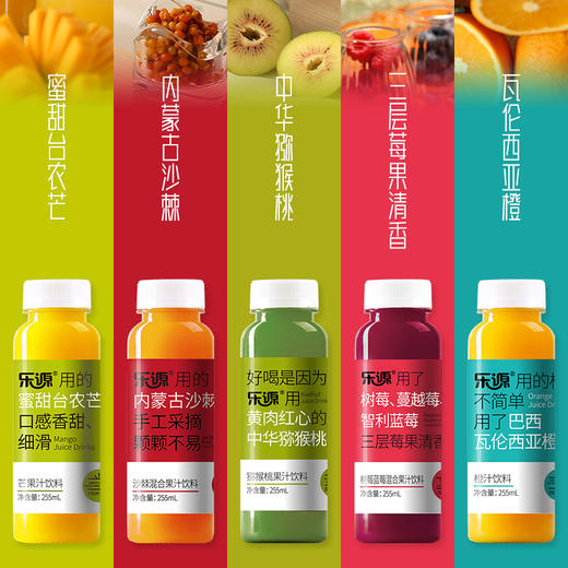 乐源 混合果汁礼盒255ml*10瓶（橙汁芒果汁猕猴桃汁树莓蓝莓汁沙棘汁各2瓶） 商品图2
