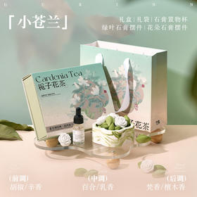 [小滋心选]【活动价 ¥65】「🎁送TA一份香气满溢的心意✨无火香薰礼盒，点亮每个节日的浪漫时光💐」女生生日礼物节日礼品