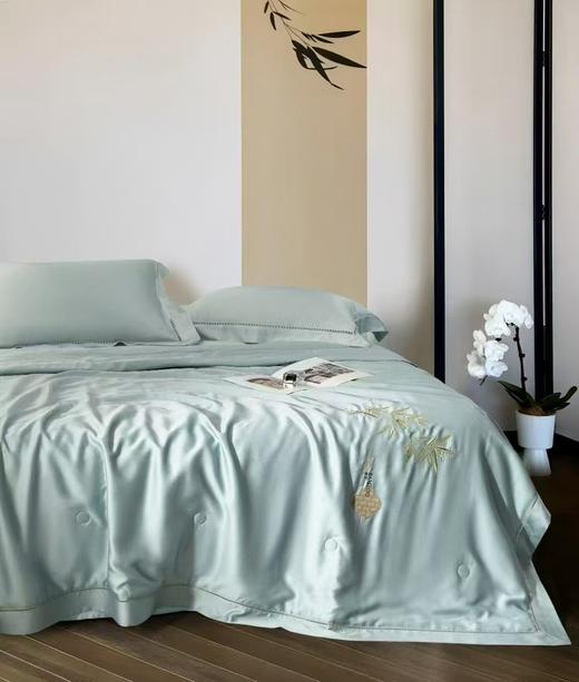 CP竹纤维金蚕丝抗菌夏凉被25218 商品图2