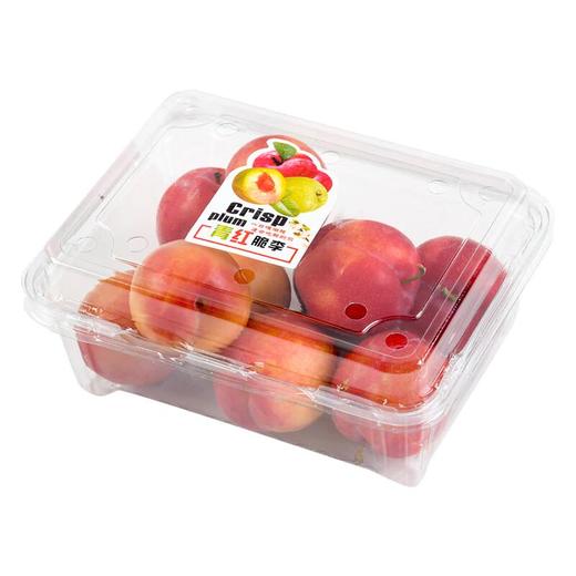 玫瑰红李500g 商品图0