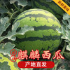 【香甜爽口，甜蜜爆汁~】麒麟西瓜水果 新鲜10斤爆甜多汁 沙瓤薄皮手撕 应季水果麒麟瓜美都-QQ 商品缩略图0