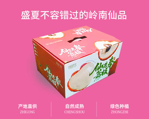 增城仙进奉荔枝3斤精选果 商品图4
