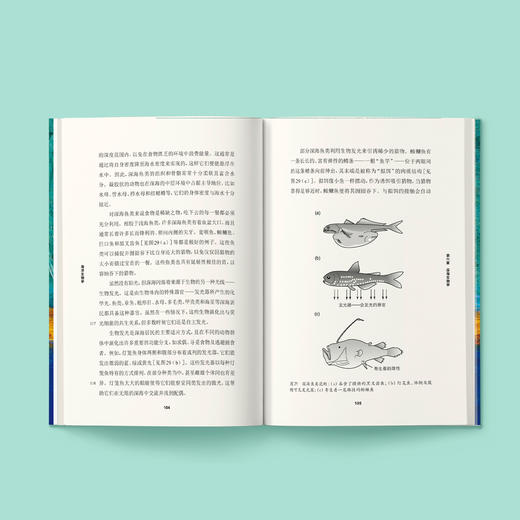 《牛津通识读本：海洋生物学》 商品图2