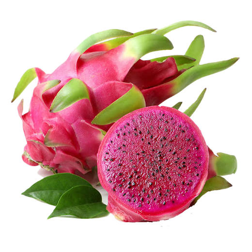 海南红心蜜宝火龙果 商品图2