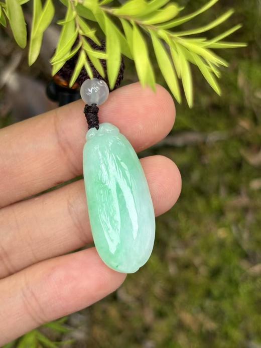 【直播大场福利】天然翡翠 糯冰绿底福瓜 吊坠 福气满满 随机发货 含证书 商品图5