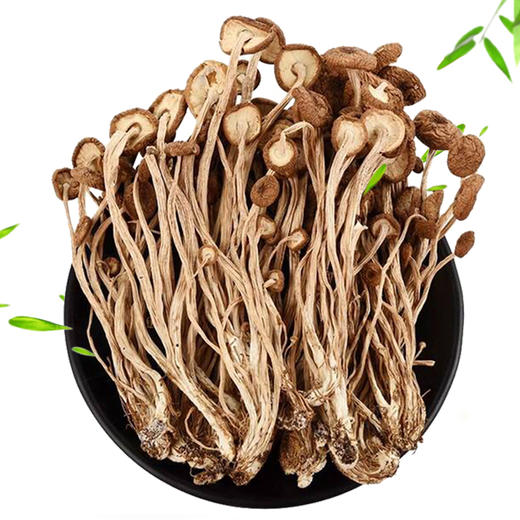 阿比该茶树菇138g 商品图1