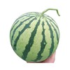 【香甜爽口，甜蜜爆汁~】麒麟西瓜水果 新鲜10斤爆甜多汁 沙瓤薄皮手撕 应季水果麒麟瓜美都-QQ 商品缩略图4