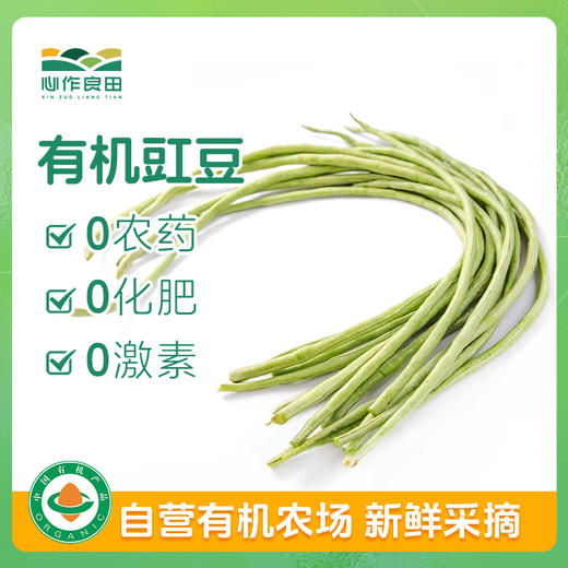 有机豇豆500g 商品图0