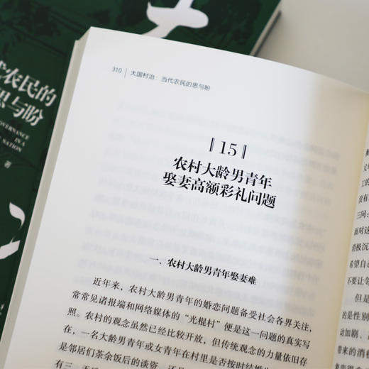 大国村治：当代农民的思与盼 商品图7