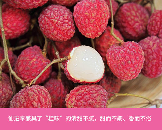 增城仙进奉荔枝3斤精选果 商品图1