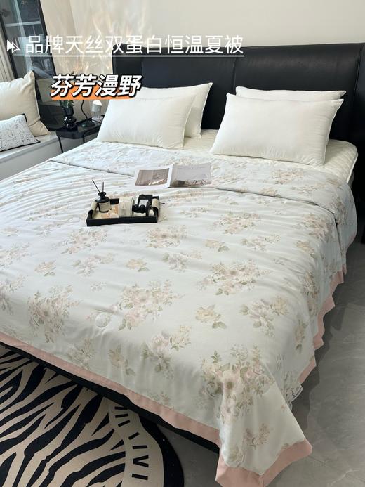 【品牌尾货】60支兰精天丝双蛋白恒温印花丝滑凉爽不闷汗夏凉被空调被 商品图4