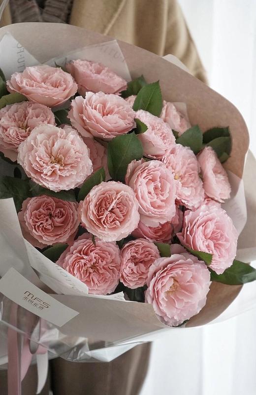 粉梅拉玫瑰【堤坝上有兜卖风筝的小贩，他们在预售浪漫】简小姐精选粉色 稀有玫瑰粉梅拉 2件包邮 下单7天发货 商品图8