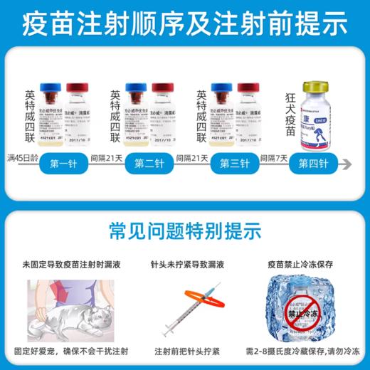 英特威犬四联疫苗一针 商品图4