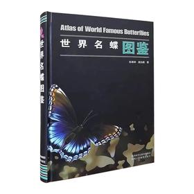世界名蝶