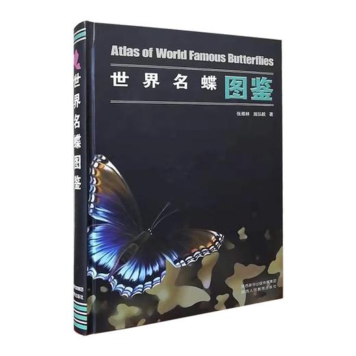 世界名蝶 商品图0