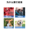 英特威犬四联疫苗一针 商品缩略图1