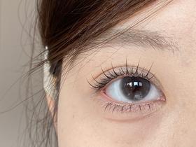 sincecon半年抛美瞳 胶原分子 14.0mm